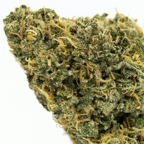 Durban Poison - Image 3