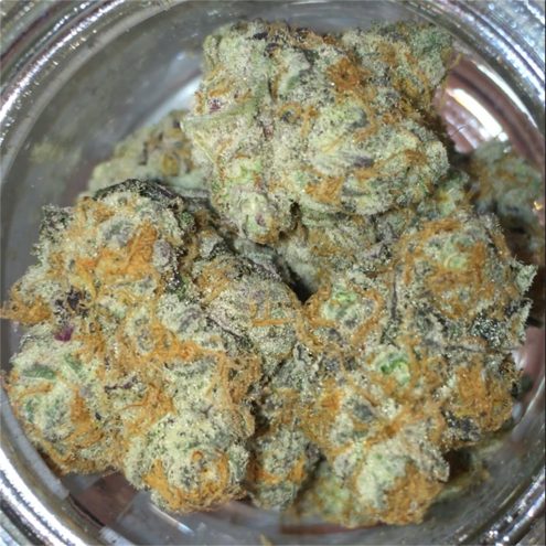 Purple Punch aka Punch - Image 3